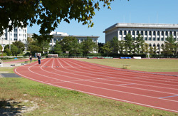 School of Health and Sport Sciences