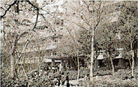 Nagoya Campus Building No.3 and No.4, 1981