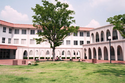 School of Law