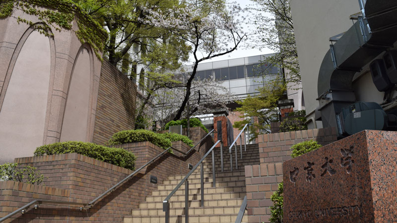 地域・社会との連携活動