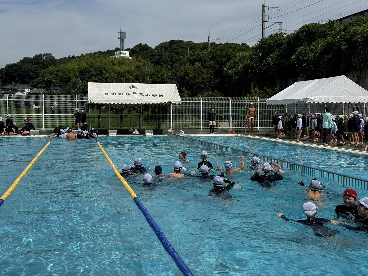 S__109789198.jpg
