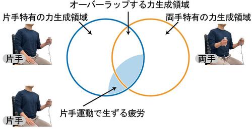 図1 力生成システムと片手運動で生ずる疲労との関係性.jpg