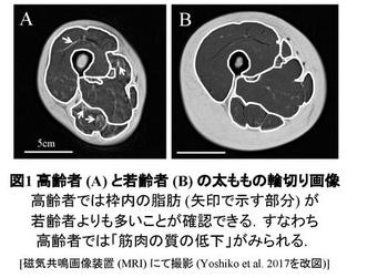 公開資料図.jpg