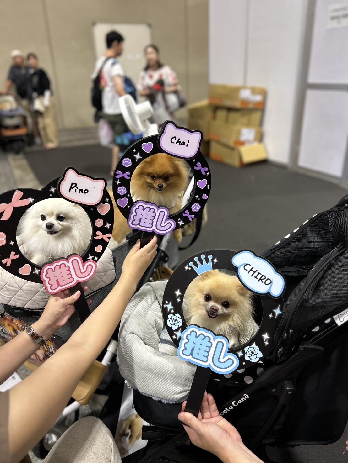 ペットⅡ.jpg