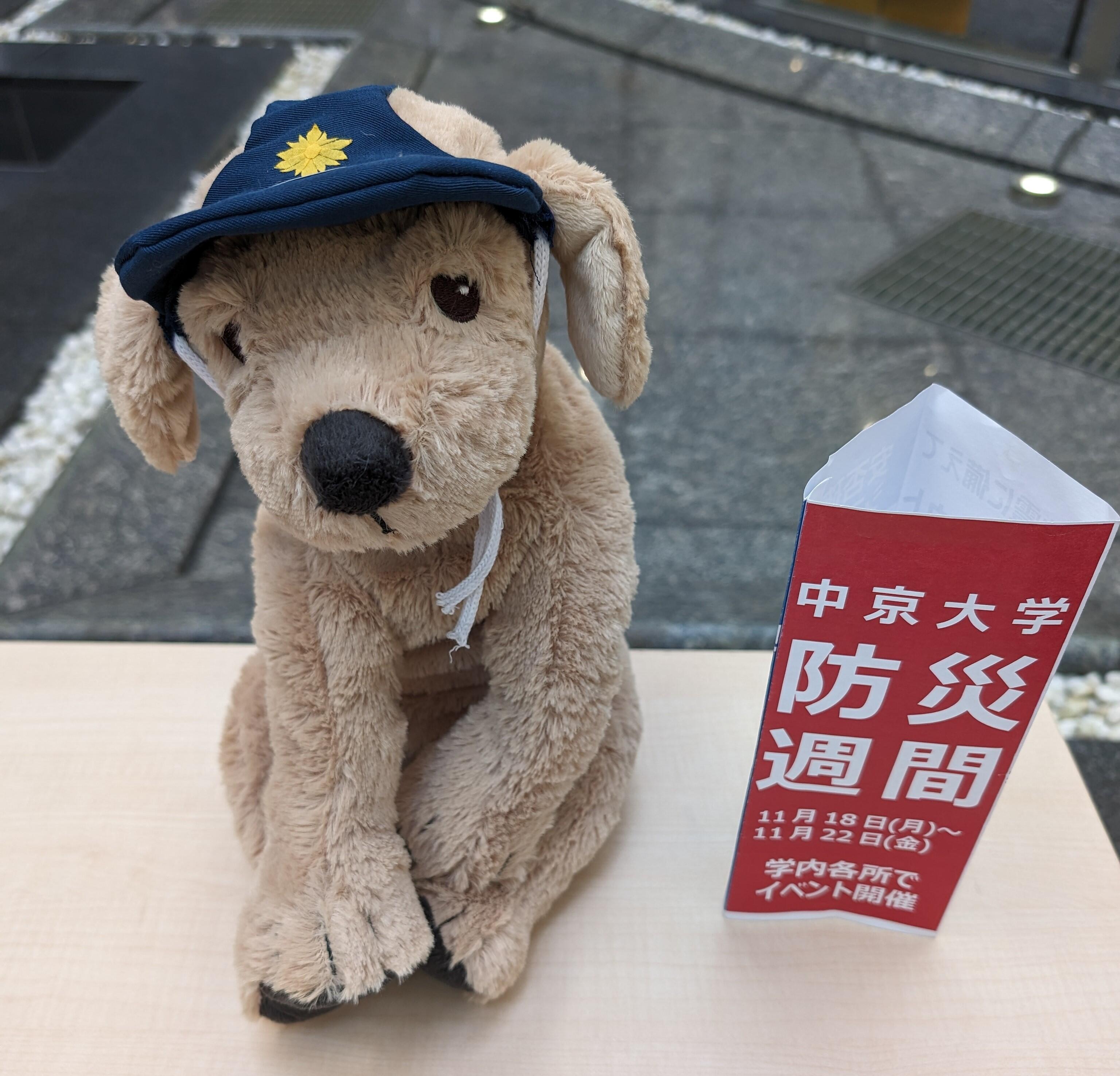 【サイズ修正】小さい子と三角POP.jpg