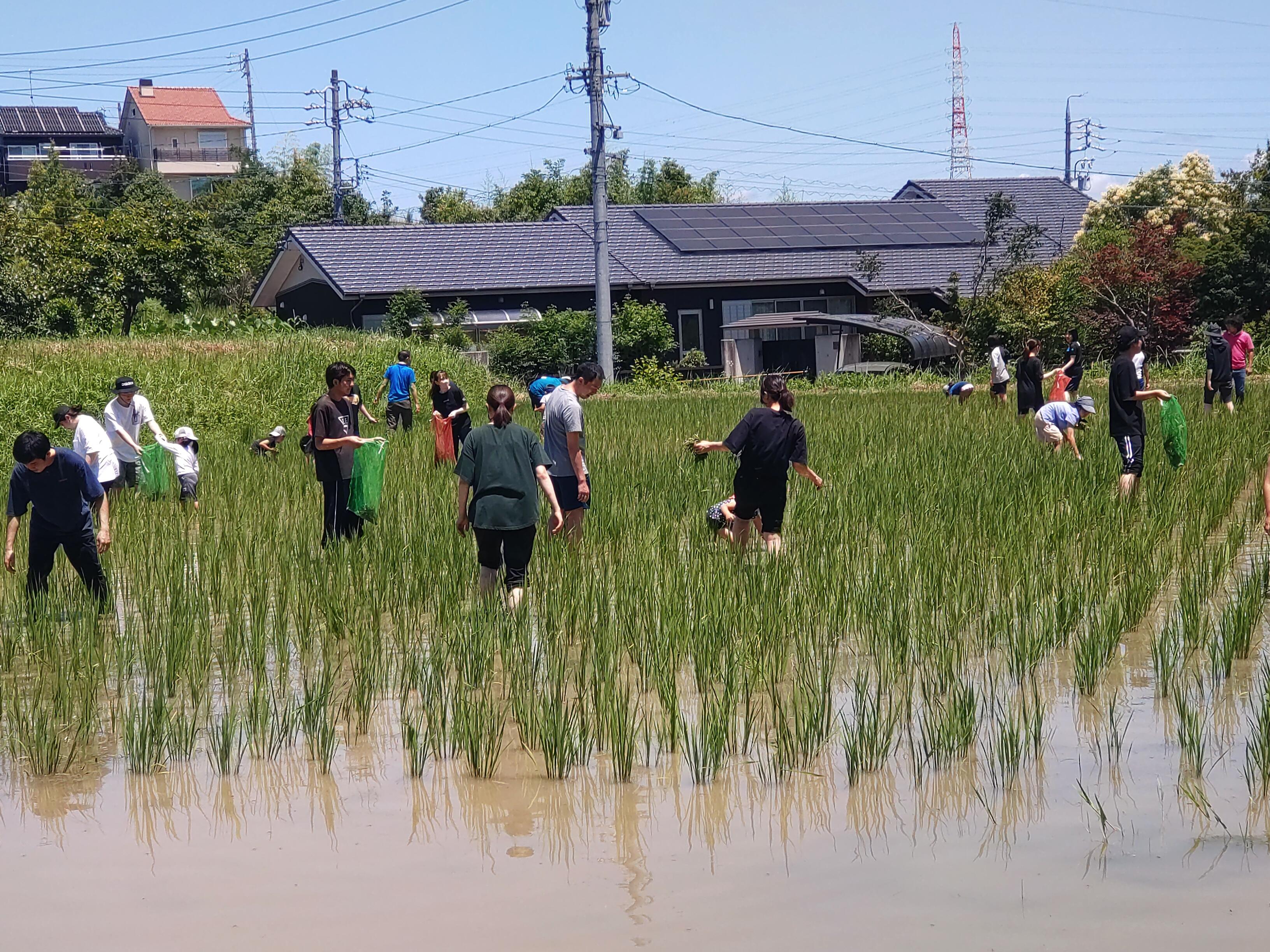 イベント写真3.JPG