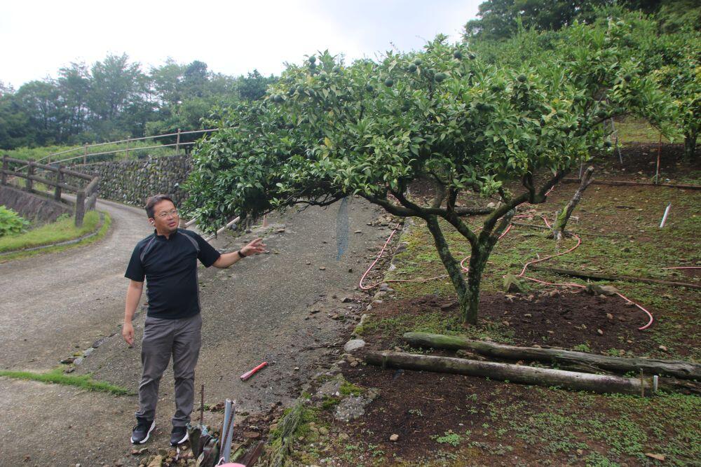 20260828-kanzakikamikawa1-1.jpg