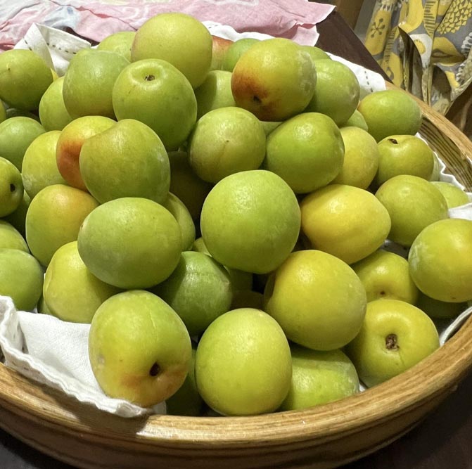 使用した青梅.jpg
