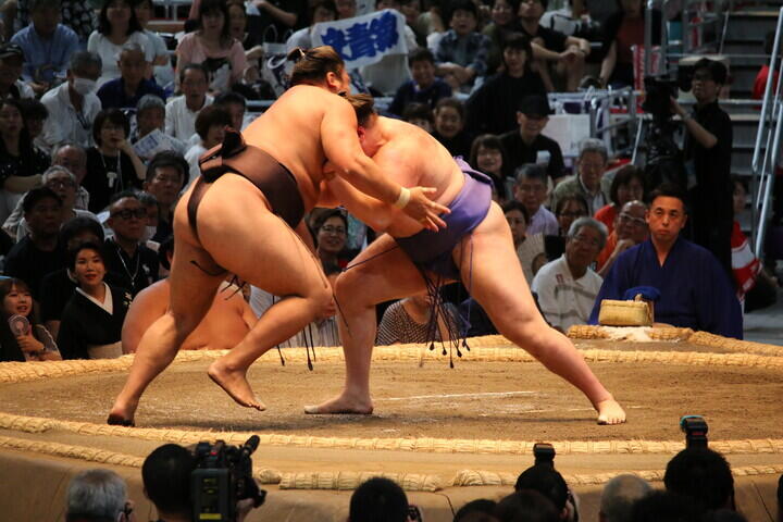 img_6447_720.jpg