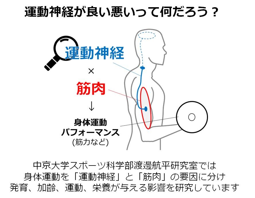 本研究室で進めている研究の概念図