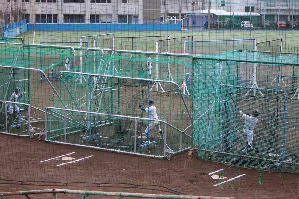 IMG_4523 - コピー.JPG