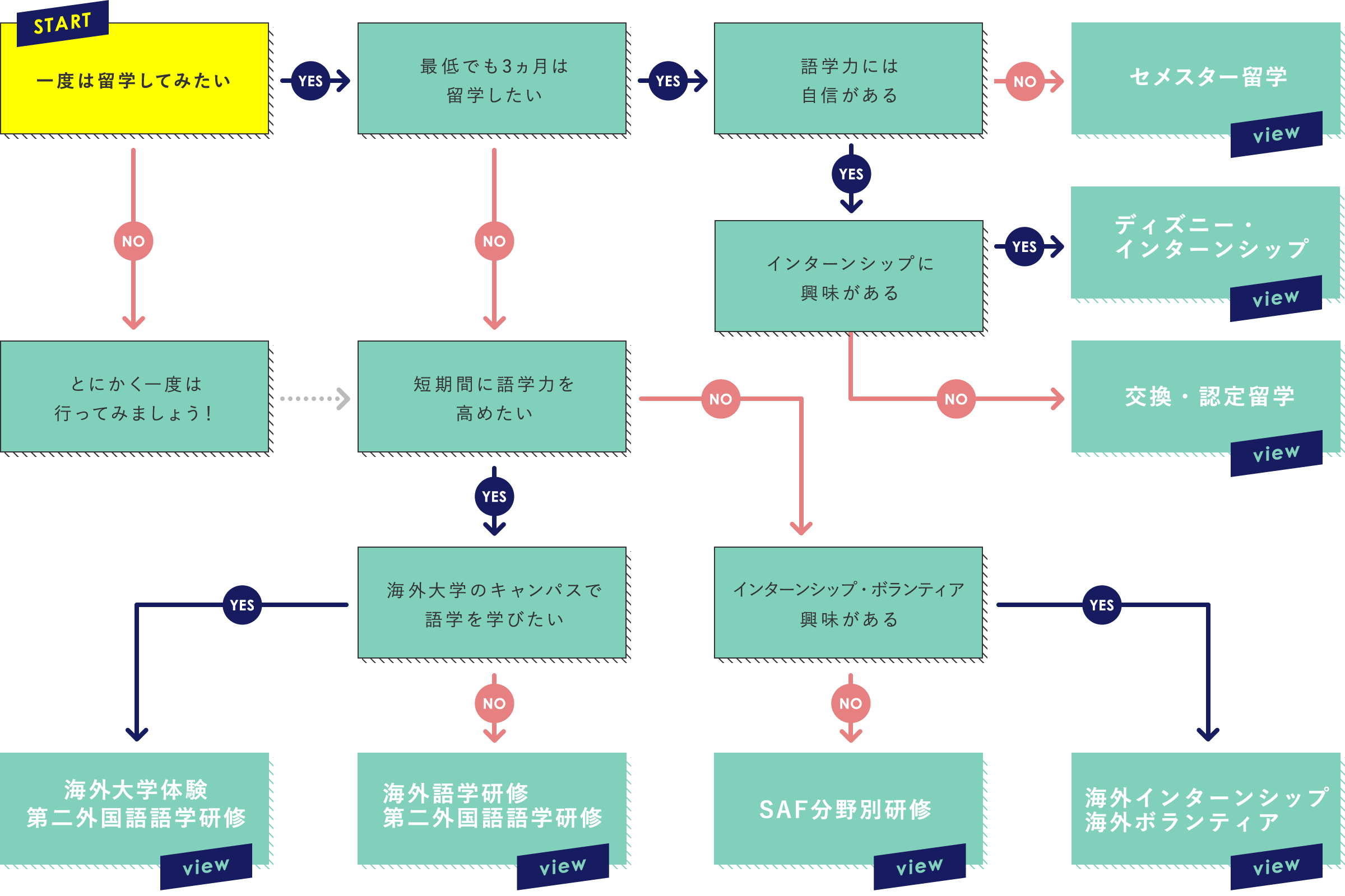 留学プランチャート